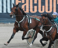 Ugly Duckling Utmost 160510-5